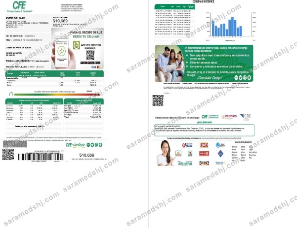 Mexico Federal Electricity Commission (CFE) utility bill template in Word format, 2 pages